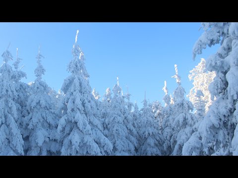 Muzica de pian anti-stres cu peisaje de iarna de poveste