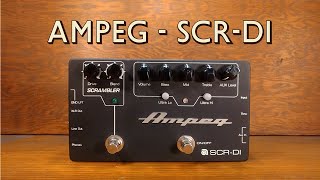 Ampeg SCR-DI Bass Preamp with Scrambler Overdrive - What To Ampeg SCR-DI Bass Preamp with Scrambler Overdrive - What To