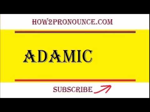 How To Pronounce ADAMIC