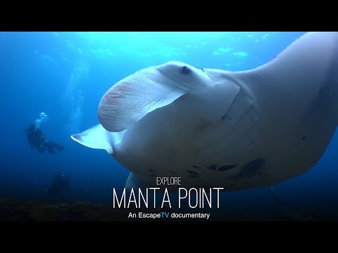 Manta Point
