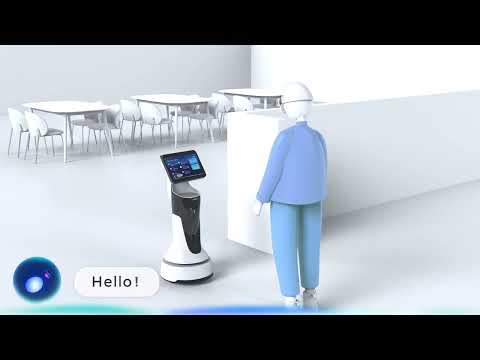 Robot video preview