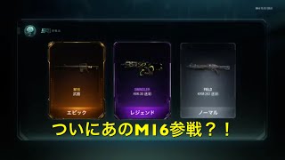 【BO3実況】やっと、あの武器が使える！？！？M16参戦！！！！ #5【クルミん】