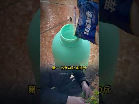 The Ultimate Guide to Growing Perfect Cucumbers