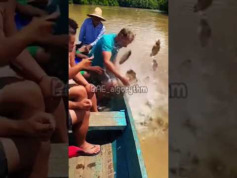 My hand was almost eaten by a piranha in the Amazon river #danger #piranha #amazon