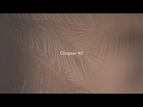 Glamora | Creative Collection ChapterXII