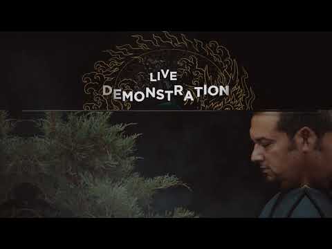 Bonsai Madness 2021 - Hugo Zamora Luna