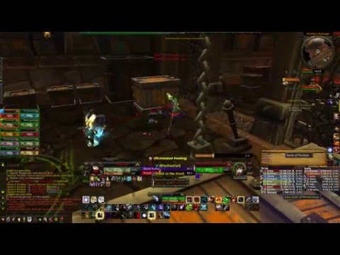 Danish Dominance Spoils of Pandaria 10 Normal