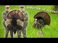 HUNDREDS Of GOBBLES Off The Roost Turkey Hunting Tennessee Insane Footage