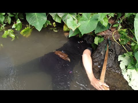 SE02EP120 - LABAN kung LABAN - UBUSAN ng HININGA sa PANANAMBANG | San Pablo CIiy, Laguna