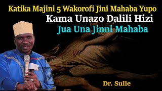 DR SULLE   MAJINI 5 WAKOROFI DUNIANI  JINI MAHABA 