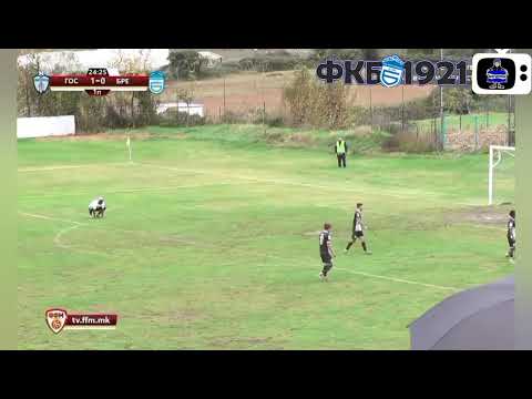 Highlights: Gostivar 1:0  Bregalnica| 14.Matchweek | MFL | 2023-24