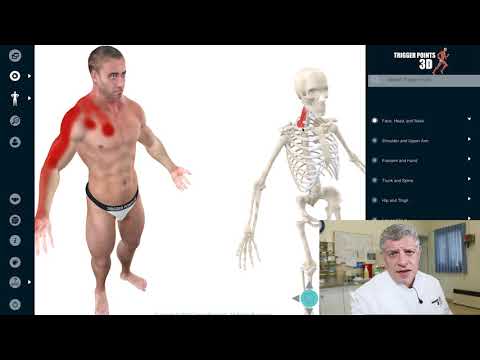 Scalenes - Trigger Point of the Week