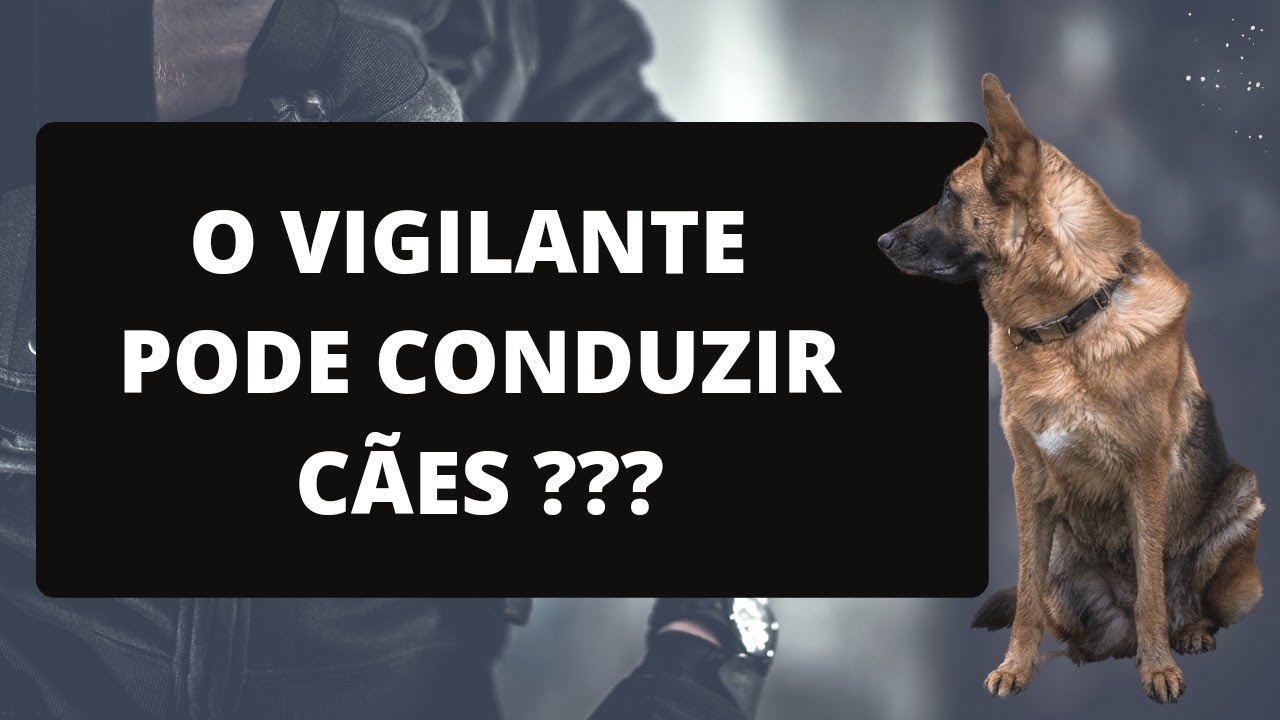 VIGILANTE CONDUTOR DE CÃES#segurancaprivada #vigilante #vigilantescomorgulho #psp #adestramento