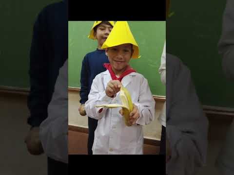 Escuela Especial N° 10