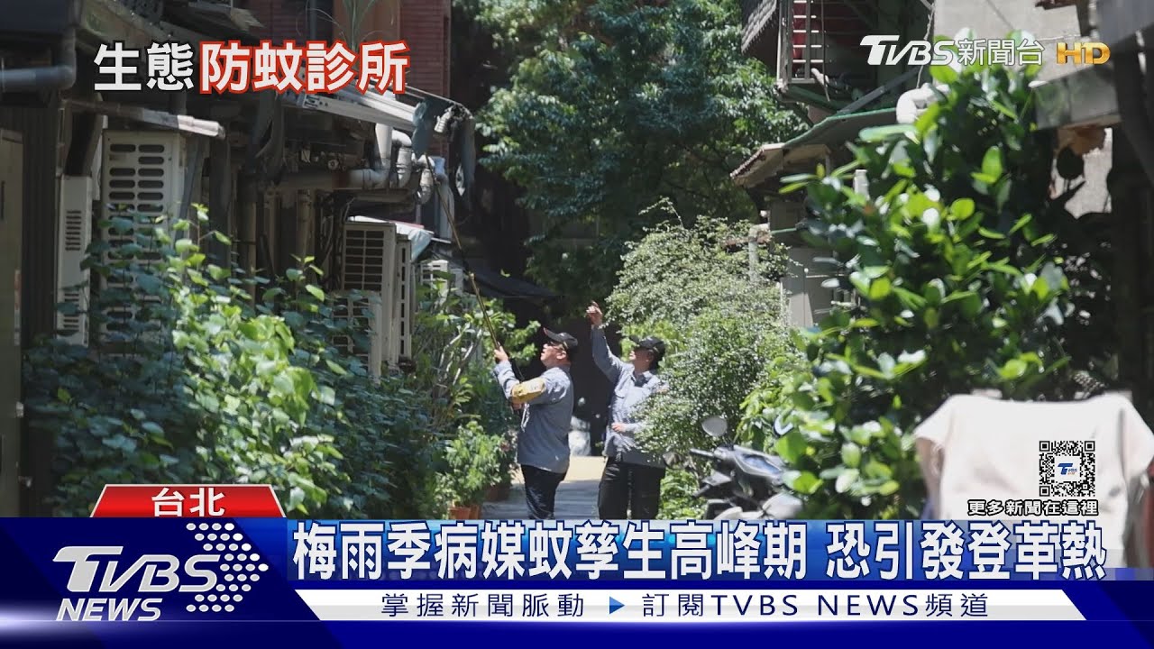 「生態防蚊師」是啥? 開「診斷單」殲滅病媒蚊孳生源