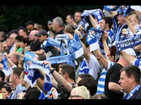 MSV ich habe einen Traum