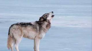 Folkearth - Wolfsong in Moonlight(Fenris Unbound)