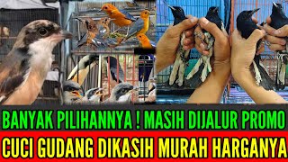 Download lagu 🔥 READY BANYAK !! CUCI GUDANG KITA KASIH HARGA MURAH 0838-7553-6945 mp3 Download lagu 🔥 READY BANYAK !! CUCI GUDANG KITA KASIH HARGA MURAH 0838-7553-6945 mp3