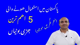 Top 5 Most Used Herbs in Pakistan | Amazing Health Benefits Explained