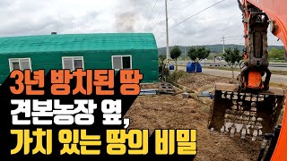 가격으로 매길 수 없는 땅의 가치! 3년 방치된 땅의 놀라운 변신 (휴경지 정리 비법 공개) | 나무대장