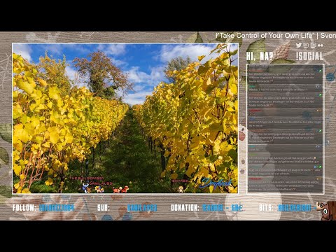 Twitch Stream #0214 | 28.12.2021 | SCARF | Ein gerades Jahr rückt näher! dryteaLurk !shop