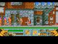 Amiga Longplay Barbarian 2