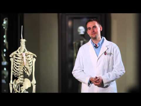 How Much Life Is in Our Bones?