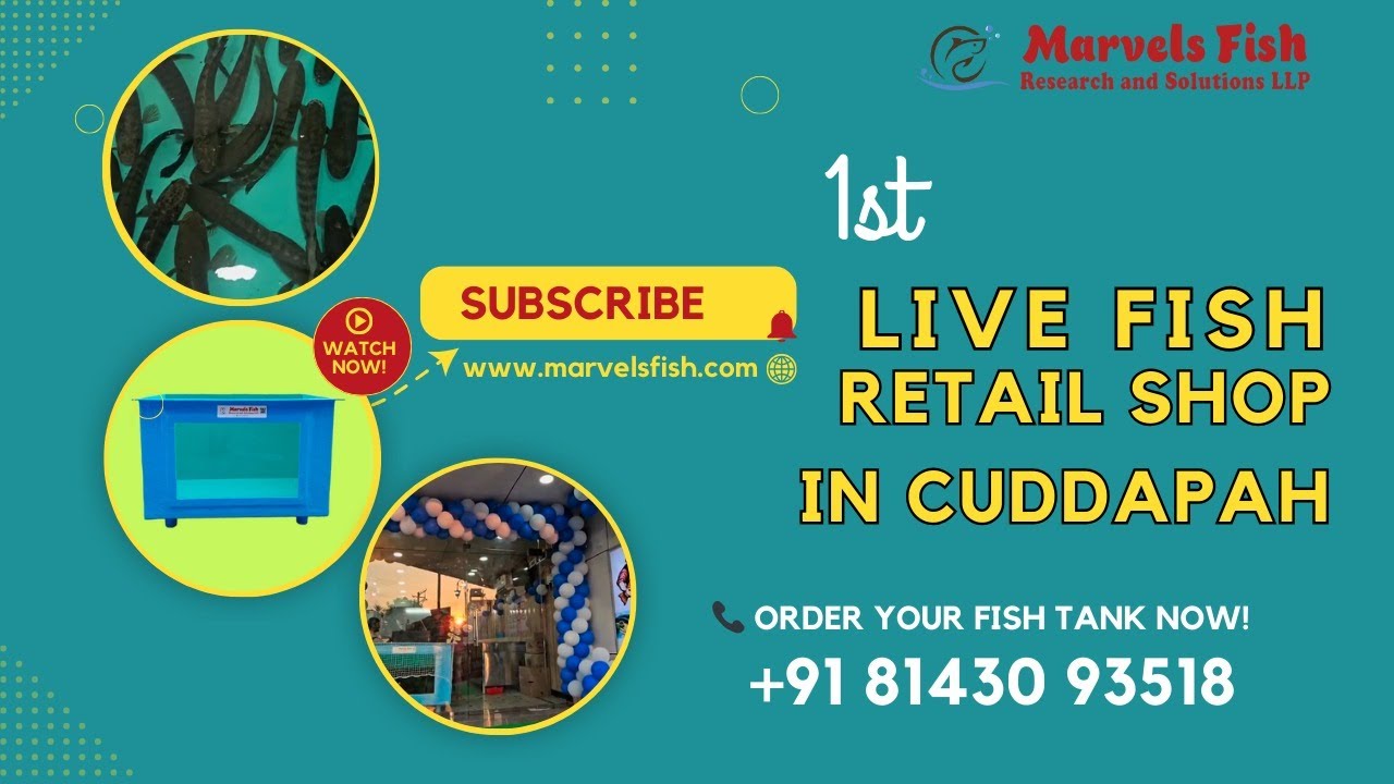 Retail Shop in Kadapa