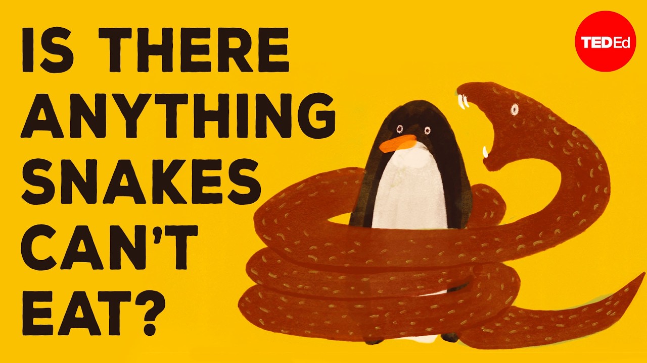 How do snakes swallow animals so much bigger than they are? - Niko Zlotnik