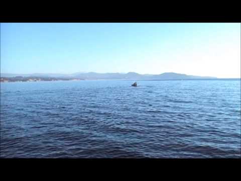 DARIUS 1st Maritime trial La Ciotat, France USV "Inspector"