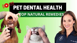 Natural Remedies for Bad Breath in Dogs & Cats