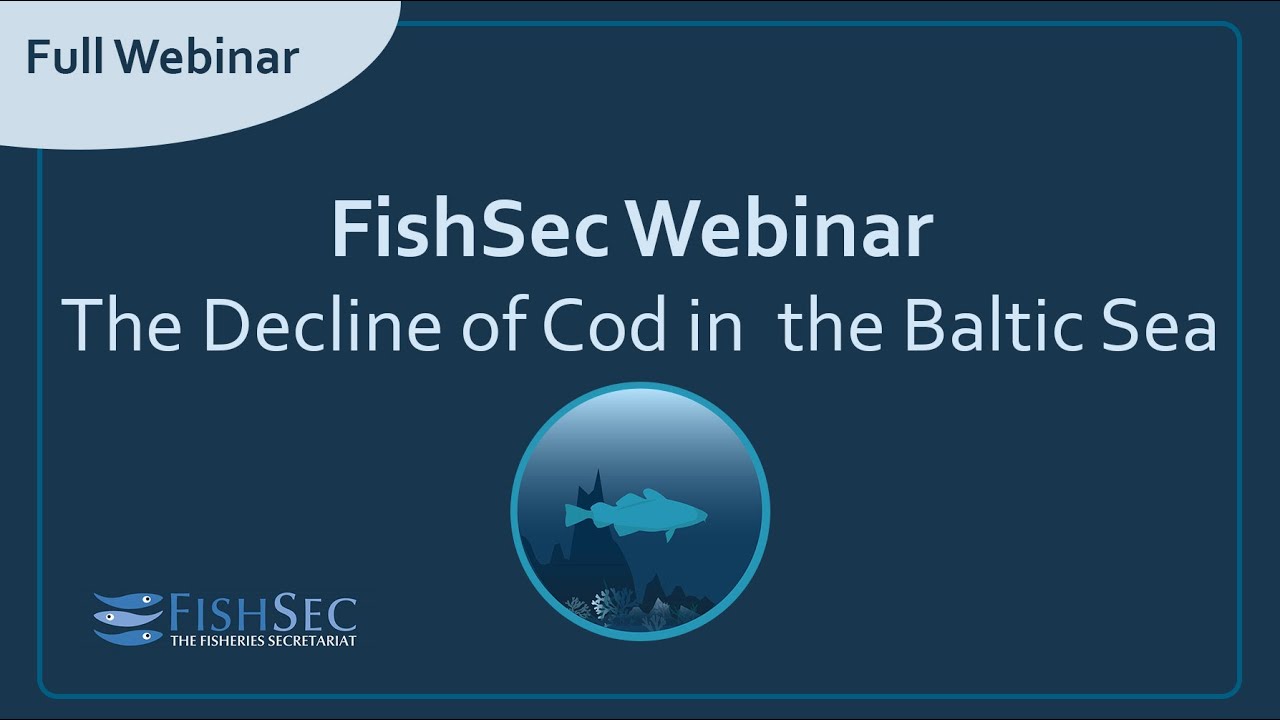 Video recording of the Decline of Cod in the Baltic Sea report presentation 24 March 2022