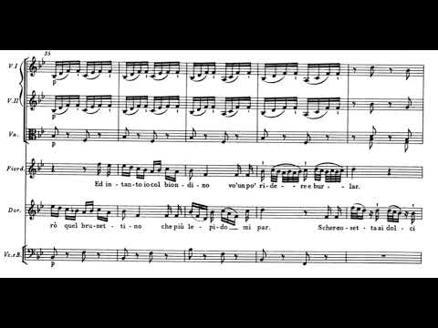 Prenderò quel brunettino (Così fan tutte - W.A. Mozart) Score Animation