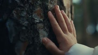 The Beatles - All You Need Is Love - Jim Sturgess, Dana Fuchs (Music Video 2021)