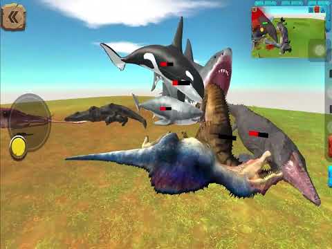 Aquatics vs carnivores