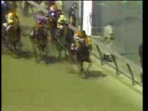 Seattle Slew's Triple Crown run