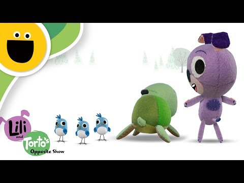 Front and Back | Lili & Torto's Opposite Show (Sesame Studios)