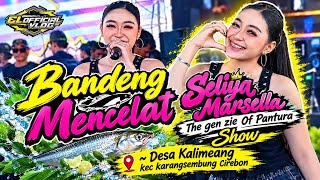 Download lagu BANDENG MENCELAT VOC. SELIYA MARSELLA || THE GEN ZIE OF PANTURA || 'SELIYA MARSELA'‼️DESA KALIMEANG mp3