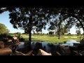 Robin Pope Safaris Luangwa Safari House Safari Zambia South Luangwa