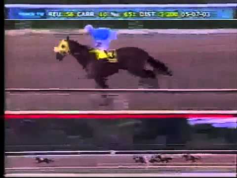 MY OWN BUSINESS gana el Clasico Fuerza Armada de 2003