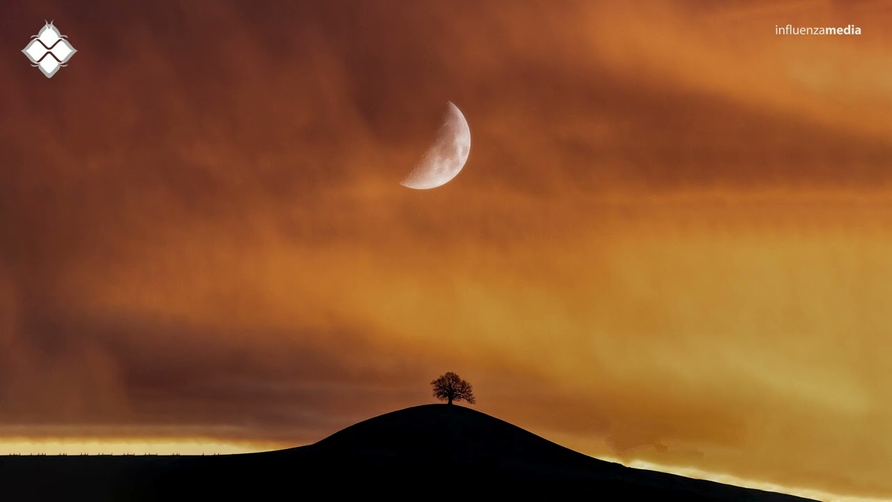 Oversight - Remember the Past