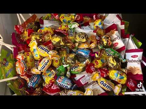 Café para gatos 고양이카페 Café para gatos Café para gatos