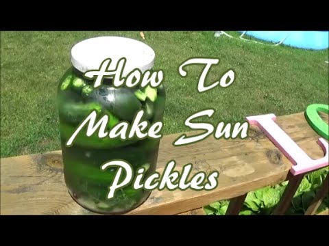 download lagu mp3 mp4 Sun Pickles With Rye Bread, download lagu Sun Pickles With Rye Bread gratis, unduh video klip Sun Pickles With Rye Bread