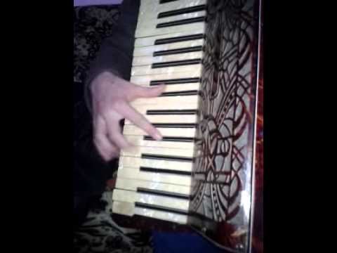Lectie de acordeon