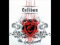 Caliban - Another Cold Day 