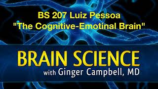 BS 207 Luiz Pessoa "The Cognitive-Emotional Brain"
