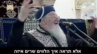 מדליקים וזוכים לראות... - מרן הרב מרדכי אליהו (הרב מרדכי אליהו זצ"ל) - התמונה מוצגת ישירות מתוך אתר האינטרנט יוטיוב. זכויות היוצרים בתמונה שייכות ליוצרה. קישור קרדיט למקור התוכן נמצא בתוך דף הסרטון
