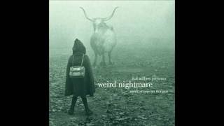 Weird Nightmare meditation on mingus - Hal Willner (full album)