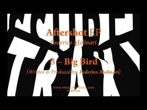 Federico Molinari - Big Bird