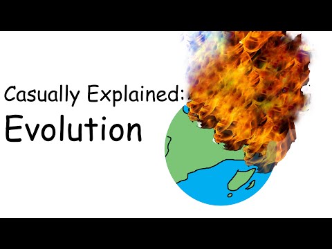 Casually Explained: Evolution
